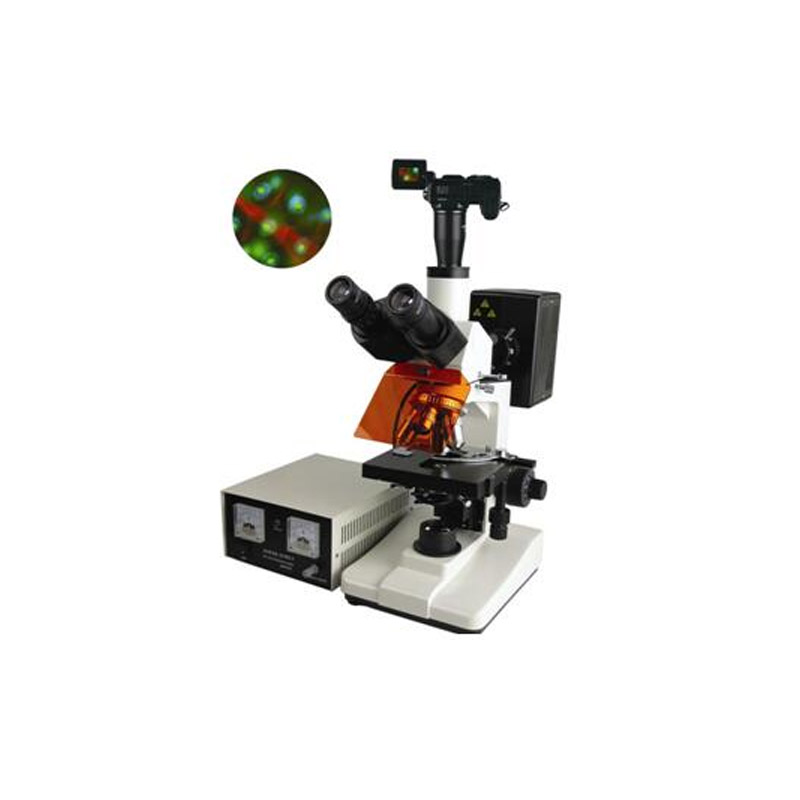数码型荧光显微镜BFM-400系列